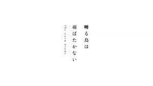 Saezuru Tori wa Habatakanai: The Storm Breaks